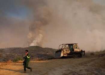 Maioria das pessoas que provoca incêndios não é pirómana nem tem outra doença psiquiátricaCréditos:Pedro Sarmento Costa-Lusa